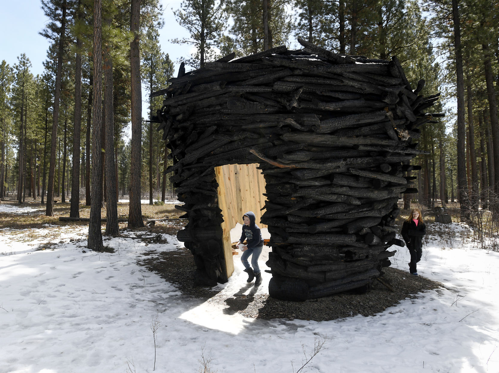 Sculpture Wild 2